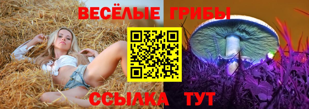 Кимры  Псилоцибиновые грибы ЛСД  Вход с VPN 